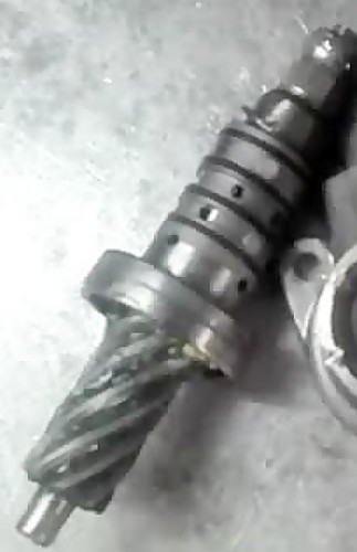 شیر فرمان آردی